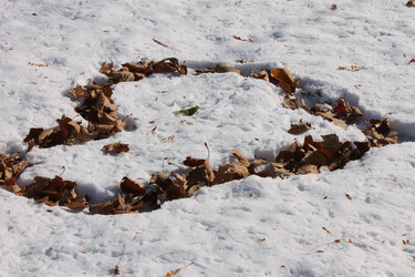 Similar image 6724407