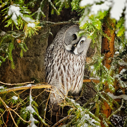 Similar image 6724411