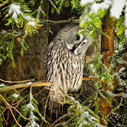 Similar image 6724412