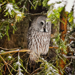 Similar image 6724413