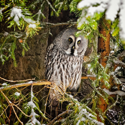 Similar image 6724417