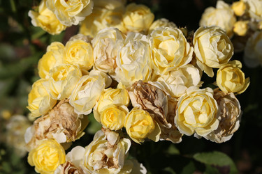 Similar image 6724497