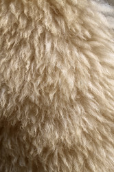 Similar image 6724501