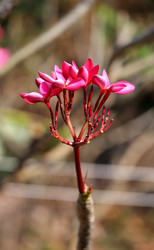 Similar image 6724506