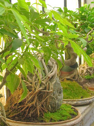 Similar image 6724760