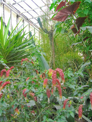 Similar image 6724762