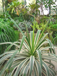 Similar image 6724763