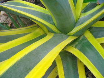 Similar image 6724765