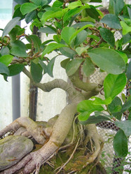 Similar image 6724766