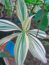 Similar image 6724769