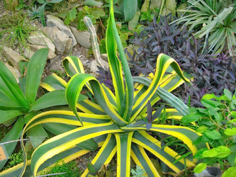 Similar image 6724771