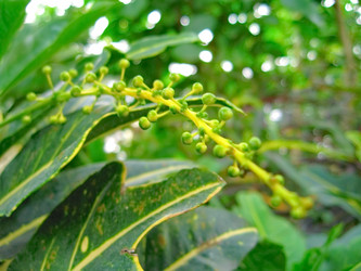 Similar image 6724772