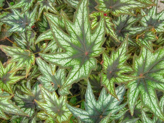 Similar image 6724773