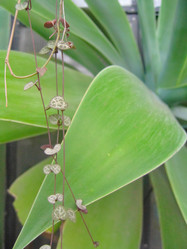 Similar image 6724776