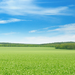 Similar image 6725111