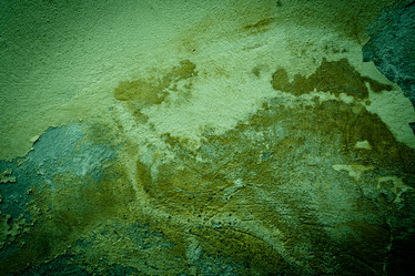 Similar image 6725298