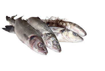 Similar image 6725357