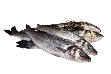 Similar image 6725358