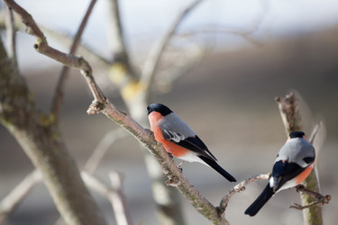 Similar image 6725361