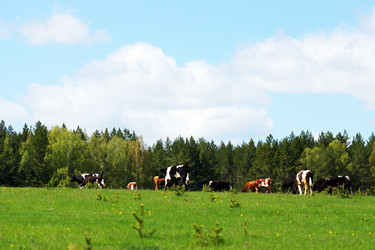 Similar image 6725400