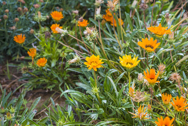 Similar image 6725480