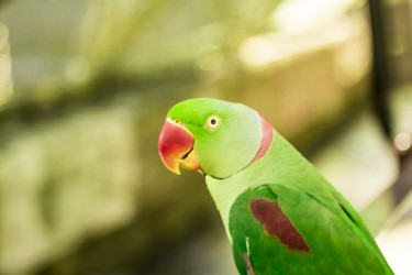 Similar image 6725518