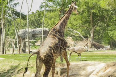 Similar image 6725519