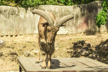 Similar image 6725521