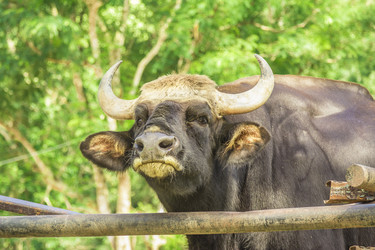 Similar image 6725523