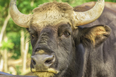 Similar image 6725524