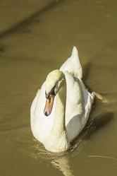 Similar image 6725525