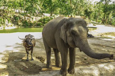 Similar image 6725526