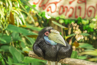 Similar image 6725527