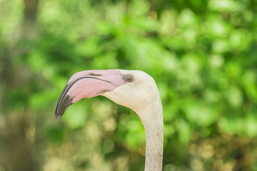 Similar image 6725528