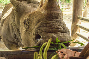 Similar image 6725529