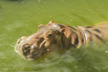 Similar image 6725531