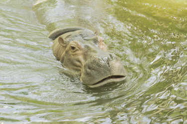 Similar image 6725533