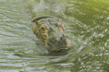 Similar image 6725534