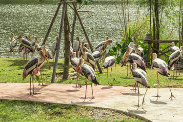 Similar image 6725536