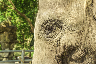 Similar image 6725537