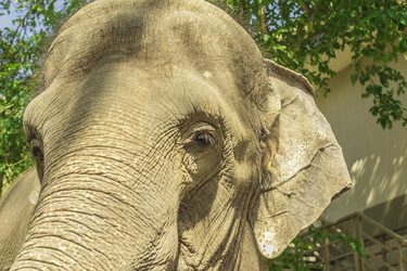 Similar image 6725539