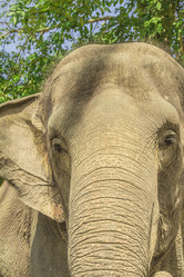 Similar image 6725540