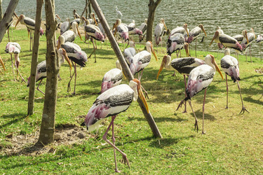 Similar image 6725541