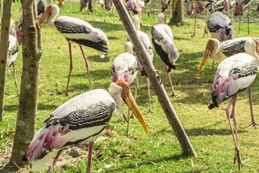 Similar image 6725542