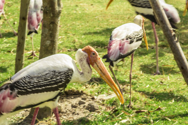 Similar image 6725543