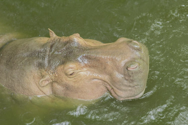 Similar image 6725545