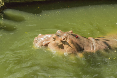 Similar image 6725546