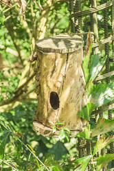 Similar image 6725561