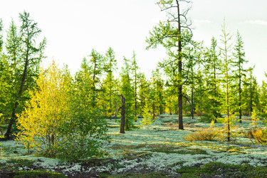 Similar image 6725565