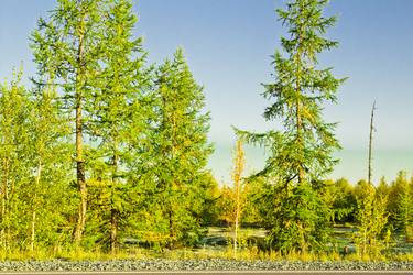 Similar image 6725566